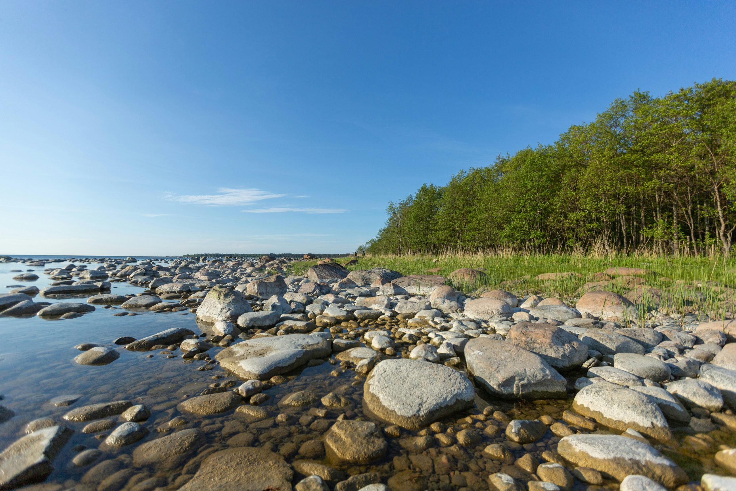 Relaxing by a tranquil lake for mental clarity